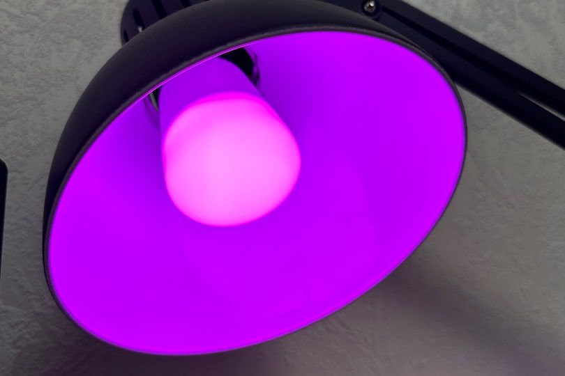 Xiaomi Yeelight LED Bulb 1S фиолетовый